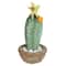 12&#x22; Southwestern Style Potted Cactus with Yellow Flower